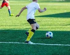 郑爽欲共同,育儿,张恒婉拒,JBO竞博官网,JBO竞博官网在线娱乐平台