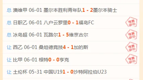 2026世界杯：如何应对伤病潮，告别离别的阴影